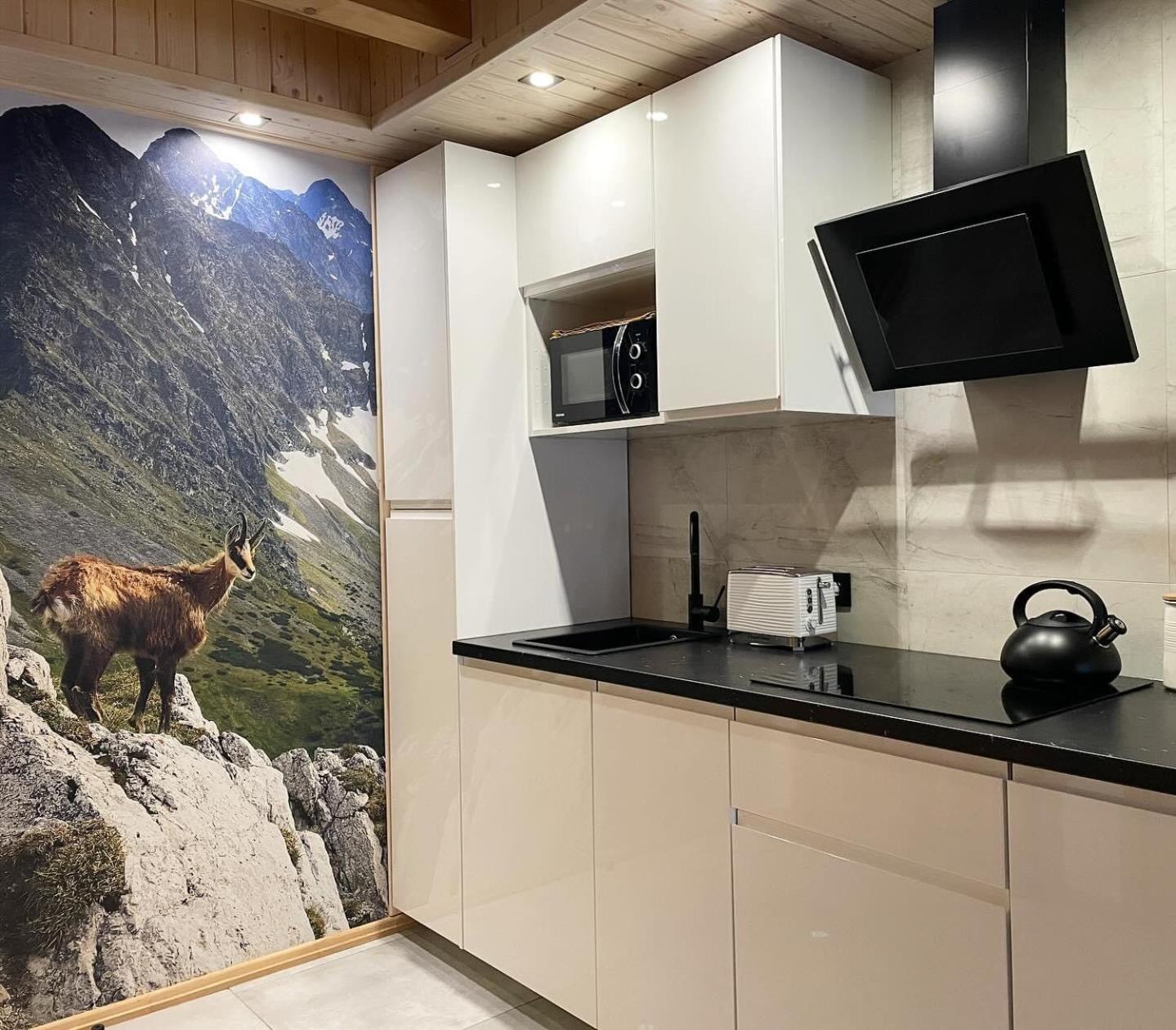 Osada Podrazowka Villa Zakopane Kültér fotó